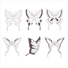 Set of Butterflies. Vector Illustration on the White Background.