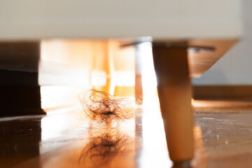 Dusty dirty floor with clump of hair on shining parquet under furniture in living room. Close-up,...