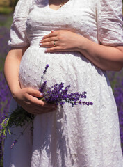 a pregnant girl holds her belly with her hands and in one hand a bouquet of lavender, a girl among the lavender fields in a white dress