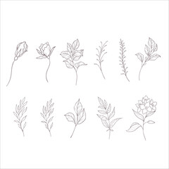 Set of Branches and Leaves. Line Art Illustration.