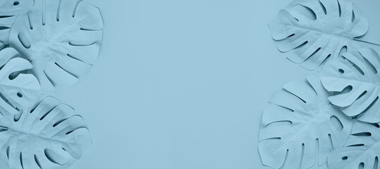 Long size banner of tropical leaf,leaves collection for design with light blue pastel color.creative and minimal