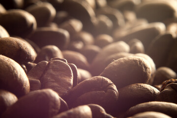 Isolated coffee beans macro photo