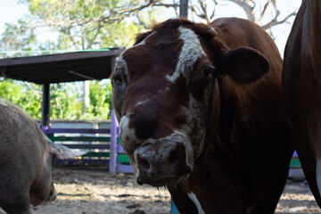 Unique beauty © Verónica