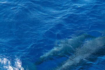 background of blue sea water with the silhouette of two dolphins swimming under the surface,...