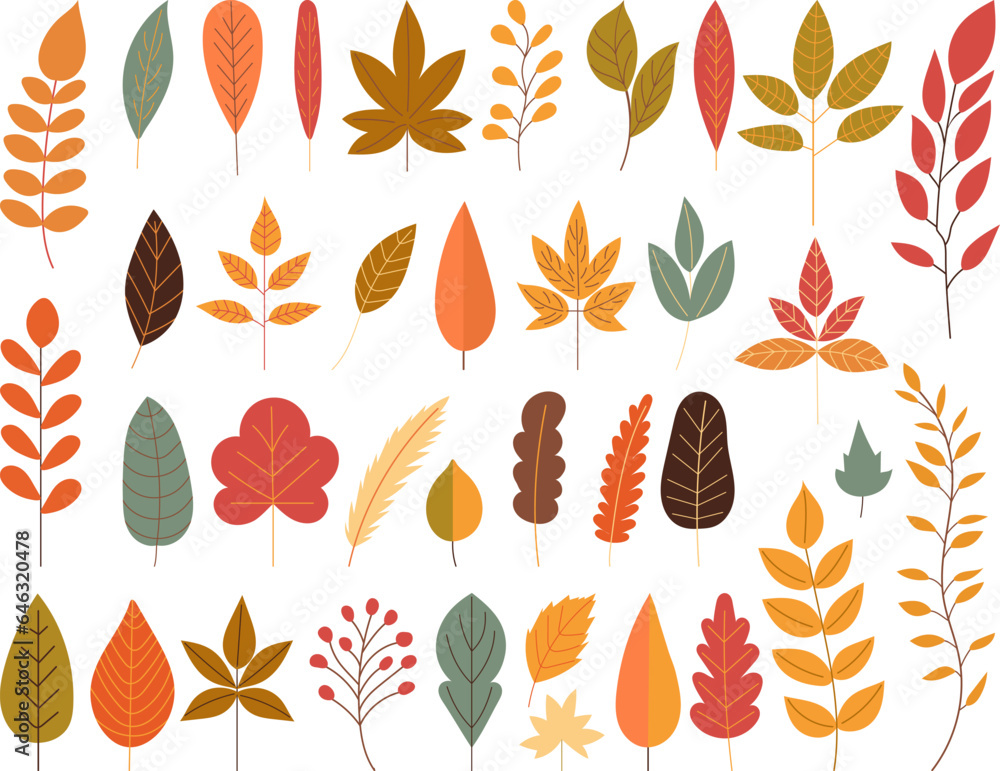 Wall mural collection of autumn tree leaves on white background vector