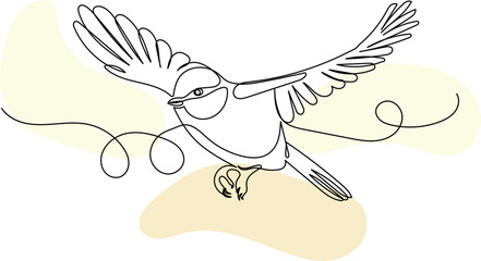 tit flying, sketch, line drawing on a white background vector