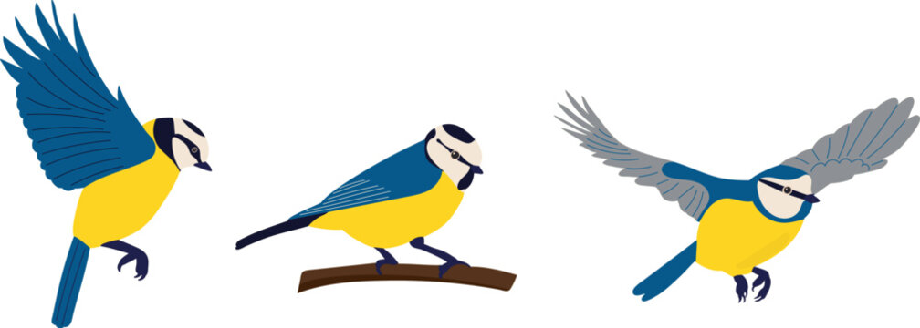 tit collection on white background vector
