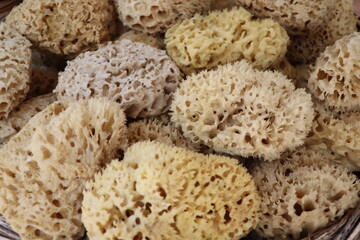 Sea sponge on display in street shop on Symi island ,Rhodes, Greece