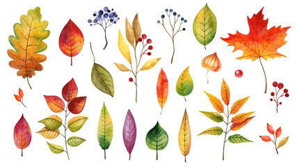 Fototapeta premium Watercolor bright autumn leaves. Hand drawn colorful autumn illustrations of leaves, branches, berries.