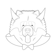 Halloween greeting card for coloring. Chow Chow dog dressed as a devil with red horns and cape