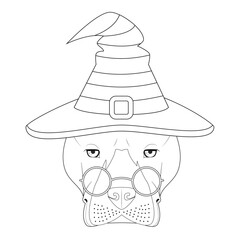 Halloween greeting card for coloring. American Staffordshire Terrier dog dressed as a witch with glasses and black and orange hat