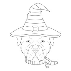 Halloween greeting card for coloring. Rottweiler dog dressed as a witch with black and purple hat and scarf