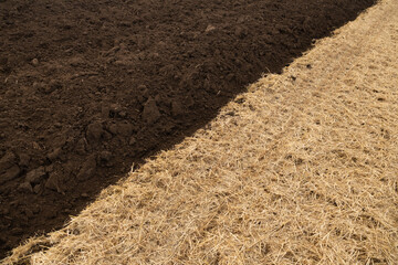 Black earth that is fertilized to improve the harvest 01