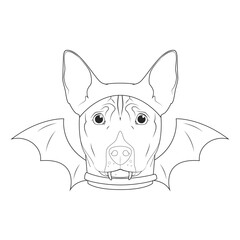 Halloween greeting card for coloring. Basenji dog dressed as a bat with black ears and wings