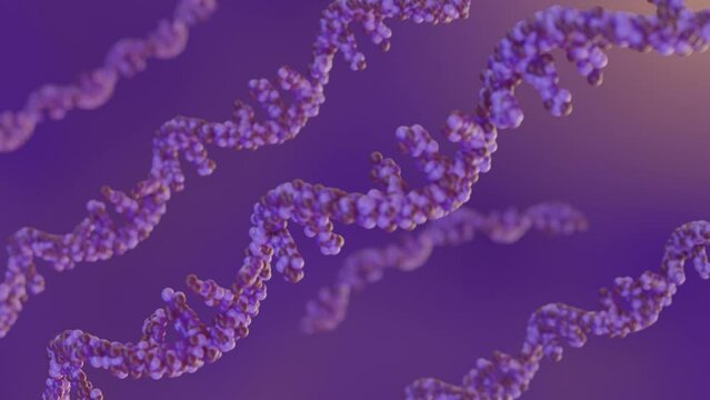 RNA abbreviation of ribonucleic acid. RNA typically is a single-stranded biopolymer 3D rendering