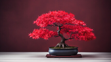 japanese red bonsai tree - obrazy, fototapety, plakaty