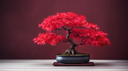 Tuinposter japanese red bonsai tree © mimadeo