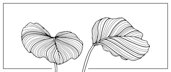 Black outline of two tropical leaves on a white background. Leaves for coloring, decoration, creating various designs and patterns. Hand drawn leaf pattern.