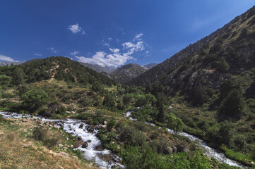 Fototapeta na wymiar field with mountain rivers in the Tien Shan mountains in Kazakhstan in summer. Kaskasu Gorge