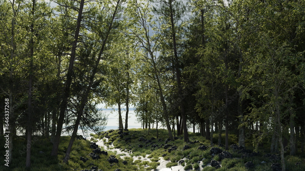 Poster forest spring landscape of trees. sunlight through the tops of firs and pines. 3d render