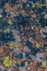 beautiful texture of the surface of a rocky mountain with colorful moss close-up