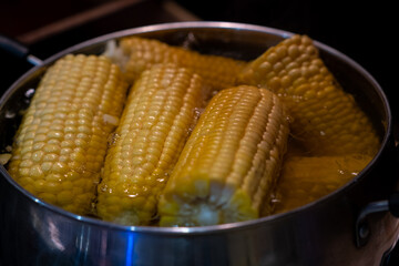 Home cooking boiled corn in a saucepan. Lots of sweet, tasty and boiled corn.