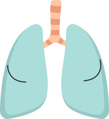 Lungs Human Organ