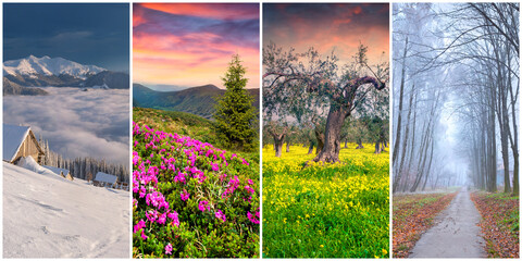 Collage of four seasons landscapes. Set of vertical pictures of nature background arranged in panoramic view. Wonderful outdoor scene of majestic mountains, green meadows and blooming flowers.