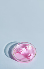 petri dishes on light background cosmetic research concept