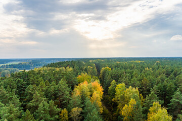 A view from above of the autumn forest and the sky with clouds before sunset in autumn. Deciduous and coniferous trees of yellow and green color under the evening sky
