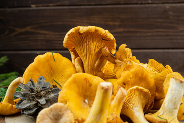 A lot of chanterelle mushrooms on a background of wood close-up.