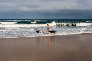 Fototapeta na wymiar Young woman walking on the ocean beach with her dogs