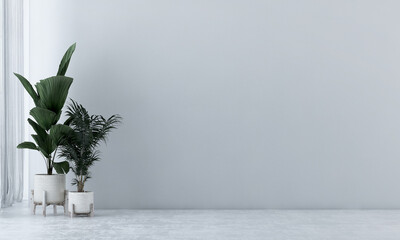 The white concrete wall and plants decor. Minimalist style home interior design of modern living room.