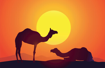 Fototapeta na wymiar Camels at Desert Sunset