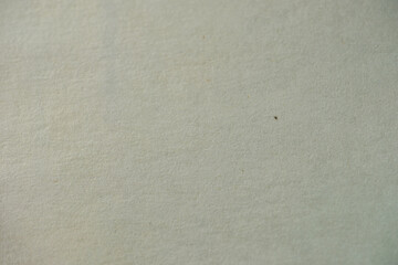 Grunge background of old paper for design author's projects