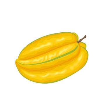 Vector illustration, carambola, also known as star fruit, isolated on white background.