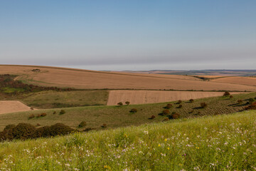 Fototapeta na wymiar Looking out over a South Downs late summer landscape, with a blue sky overhead