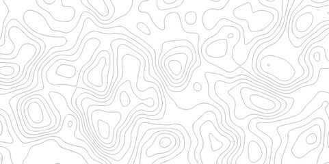 Abstract pattern with lines. Abstract sea map geographic contour map and topographic contours map background. Abstract white pattern topography vector background. Topographic line map background.