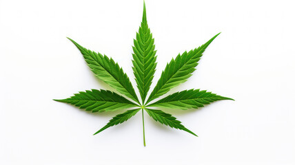 Minimalist Cannabis Leaf on White Background