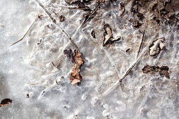 Spring ground covered with thawing snow