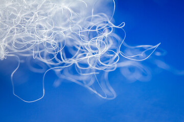 Extreme macro of polyester stable fiber on blue background