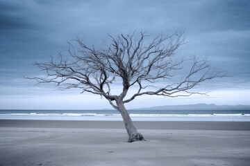 tree on a beach, symbolizing post-holiday blues