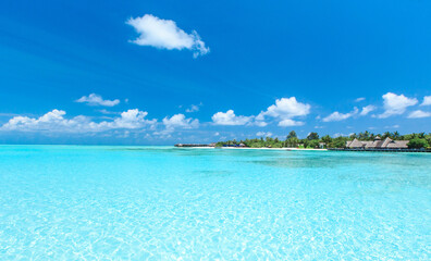 beautiful tropical sea