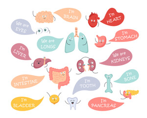 Human Body Organs Set