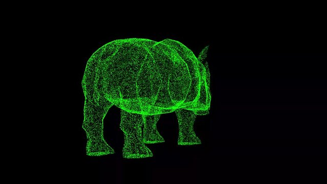 3D Rhinoceros rotates on black background. Safari concept. Wildlife animals. Business advertising backdrop. For title, text, presentation. 3d animation 60 FPS