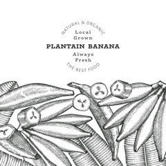 Hand drawn sketch style plantain banner. Organic fresh fruit vector illustration. Retro exotic banana fruit design template © lubovchipurko