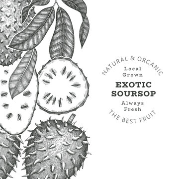 Hand drawn sketch style soursop fruit banner. Organic fresh fruit vector illustration. Retro guanabana design template