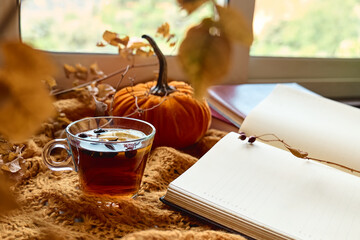 Reading in fall season. Open book and cup of tea on knitted plaid with autumn leaves as concept of...