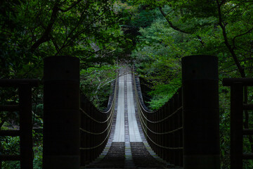 新緑が美しい花貫渓谷