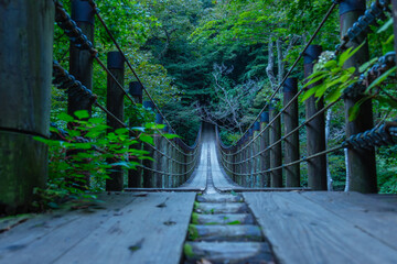 新緑が美しい花貫渓谷